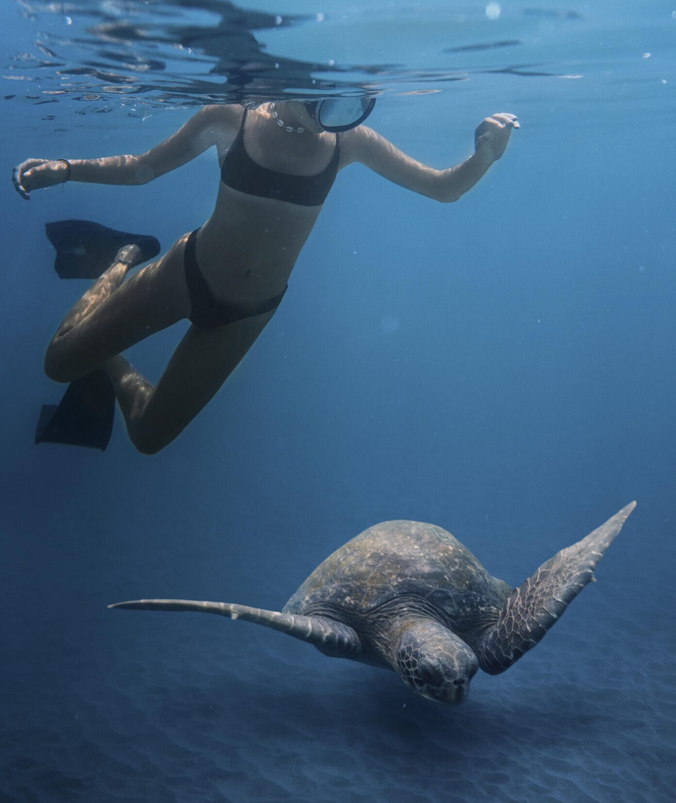 close-up-woman-swimming-with-turtle