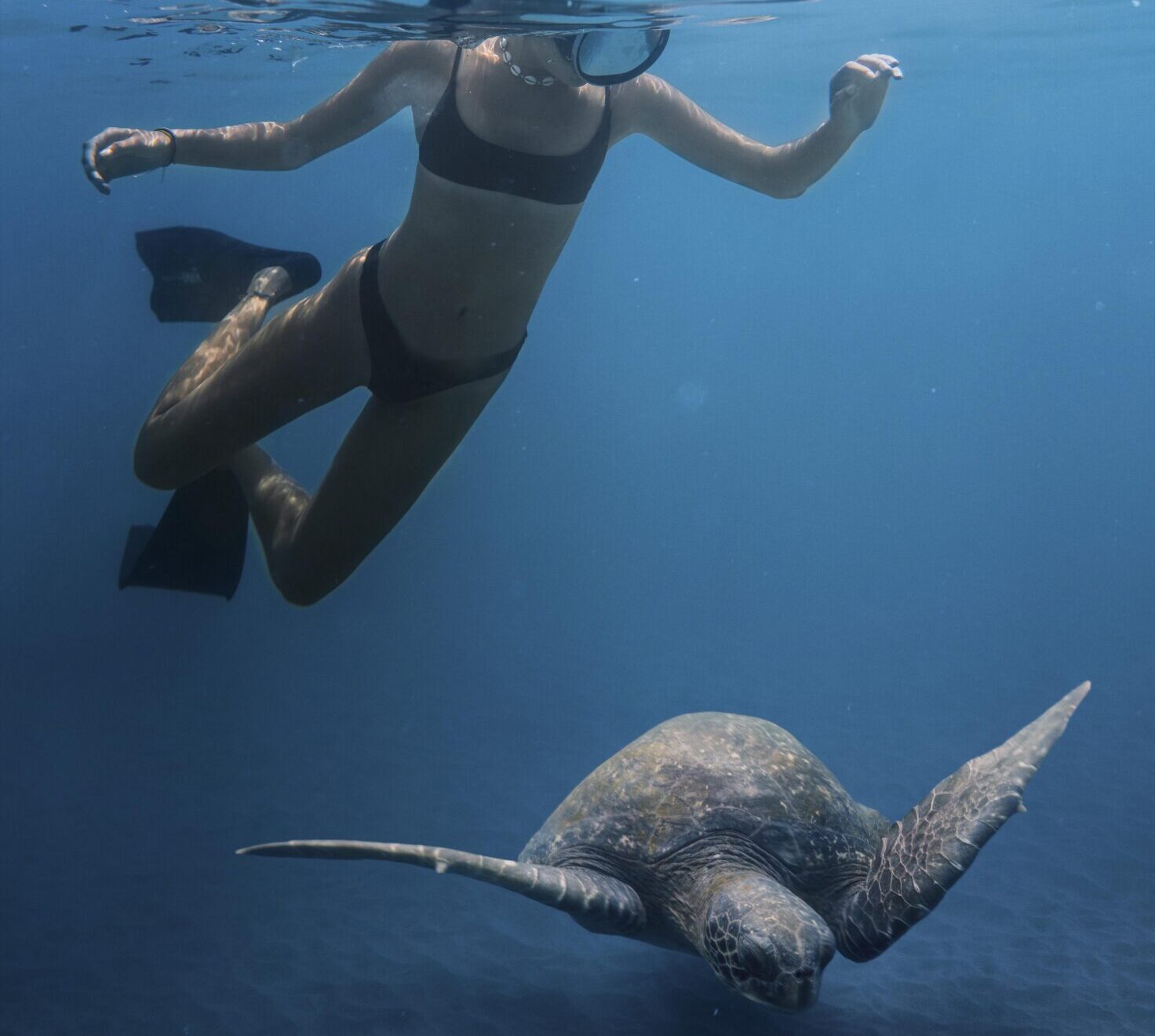 close-up-woman-swimming-with-turtle